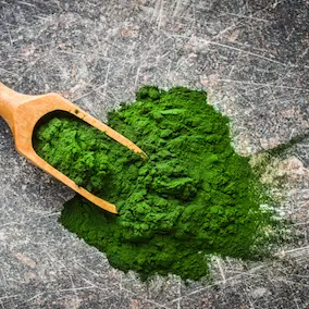 Chlorella Microalgae