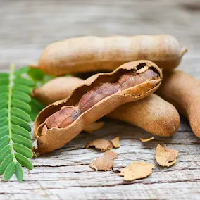 Tamarind Seed Extract